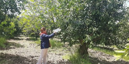 Tarım arazilerinde hastalık ve zararlı mesaisi