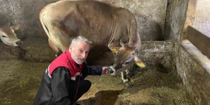 Danimarka ve Amerika’dan getirildiler, Of’a kısa sürede uyum sağladılar