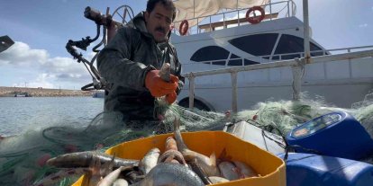 Van Gölü’nde inci kefali için av yasağı: Kaçak avlanmanın cezası 16 bin TL