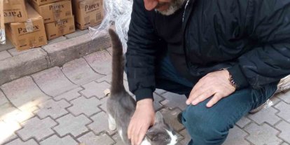 Köpeklerden kaçan kedinin imdadına itfaiye yetişti