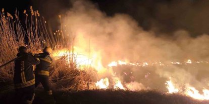 Erzincan’da anız yangını korkuttu