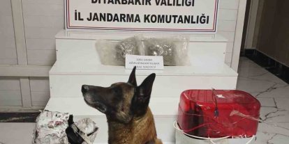 Su arıtma cihazına zulalanmış esrar ele geçirildi