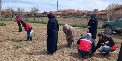 Aslanapa’da çiftçilere yönelik eğitim ve saha çalışmaları gerçekleştirildi
