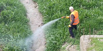 Kahta Belediyesi’nden haşerelere karşı yoğun mücadele