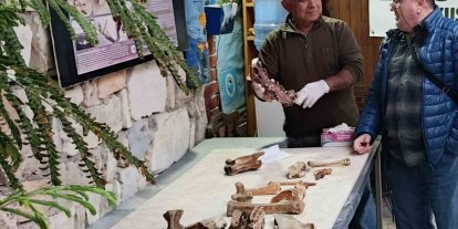 Kuşadası kıyılarında fırtına sonrası ortaya çıkan kemikler incelendi