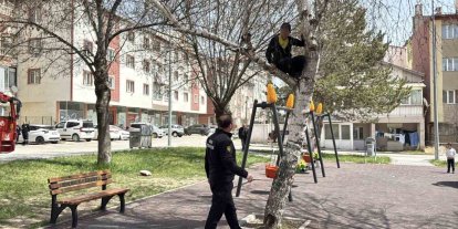 Topu almak için çıktığı ağaçtan inemeyen çocuk itfaiyeden yardım istedi