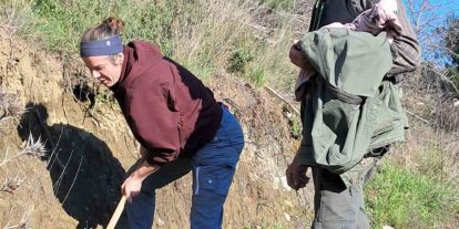 Edremit’te Kazdağı Bal Ormanına uluslararası ilgi