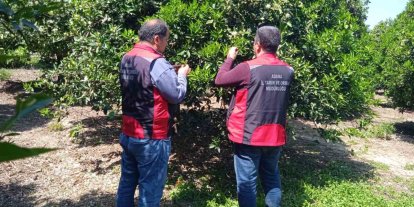 Tarımda biyolojik mücadele seferberliği