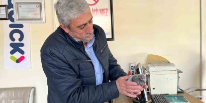 Bünyan’da çatıdan düşen kuş, yuvasına kavuşturuldu