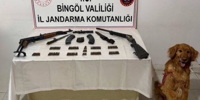Bingöl’de silah ve mühimmat ele geçirildi