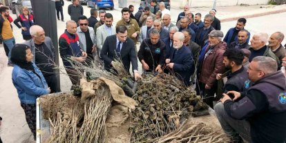 Çemişgezek’te vatandaşlara ücretsiz fidan dağıtıldı