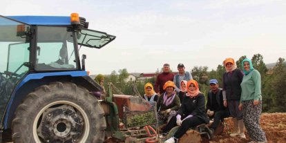 Poşusunu takan Kaymakam Kuran üreticilerle birlikte kekik dikti