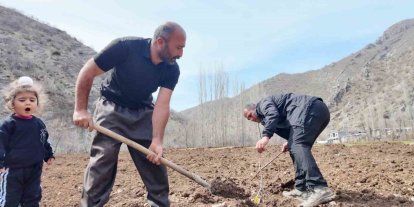 Şırnaklı çiftçi devlet desteğiyle bütün arazisine meyve fidanı dikti