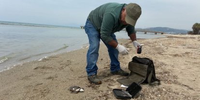 Kuşadası’nda iki deniz kaplumbağası ölü bulundu