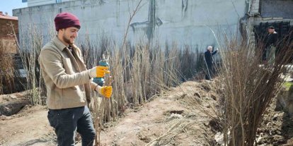 Ahlat’ta meyve fidanlarına ilgi
