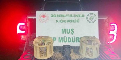 Muş’ta kaçak keklik avına suçüstü: 65 bin TL ceza kesildi