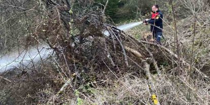Ormanlık alanda çıkan yangın büyümeden söndürüldü