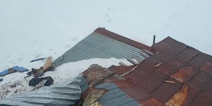 Gümüşhane yaylalarında ayı dehşeti devam ediyor