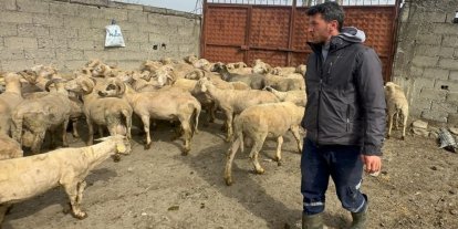 Kurbanlık parasıyla evlenmişti şimdi doğacak bebeği için kullanacak