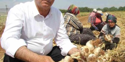 AB Tescilli Araban Sarımsağı dünya devleri arasında 5’inci seçildi