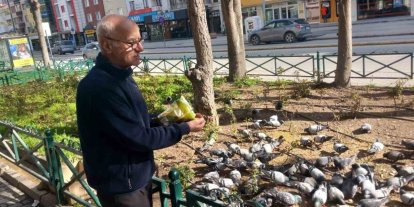Dükkanının önüne gelen onlarca güvercini doyuruyor