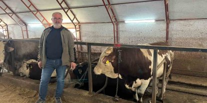 Artvin’de kurbanlıklar pazara çıkmayı bekliyor