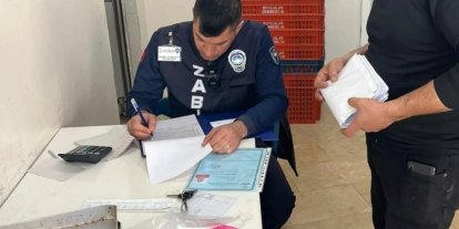 Germencik’te ruhsatlar kontrol edildi