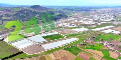 Modern tarımın yeni adresi Bafra: Karadeniz’de başarı hikayesi yazılıyor