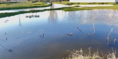 Ağrı’da sağanak nedeniyle dereler taştı