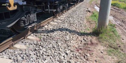 Osmaniye’de yük treninin çarptığı kişi yaralandı