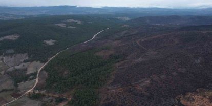 Bursa’da tarihin en büyük orman yangınında yaralar böyle sarıldı