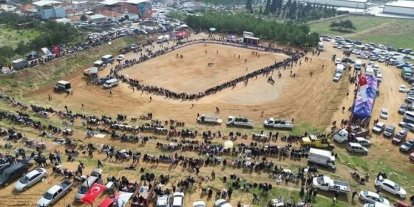 Kemalpaşa’da 3. Boğa Güreşi Festivali heyecanı