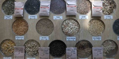 3 milyon yerel tohum dağıtıldı