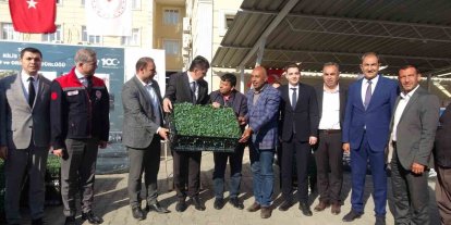 Kilis’te 320 çiftçiye üzüm şalı, 250 çiftçiye 400 bin fide desteği