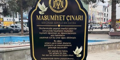 "Masumiyet Çınarları" kaybedilen canların hatırası için dikildi