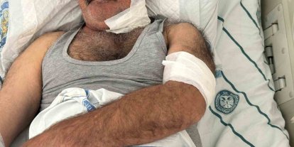 At sahibini boğazından ısırarak ağır yaraladı