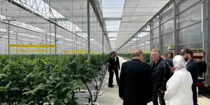 Düzce’den Seracılık İhtisas Organize Tarım Bölgesi’nde inceleme