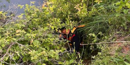 Yayladağı’nda gölete düşen büyükbaş hayvan kurtarıldı