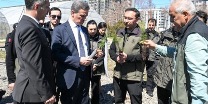 22 yılda 109 milyon 508 bin adet fidan toprakla buluştu
