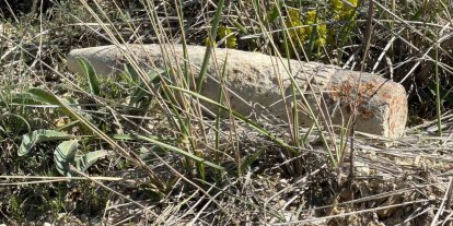 Ankara’da vatandaş mantar ararken patlamamış top mermisi buldu