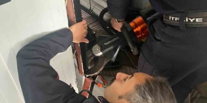 Antakya’da profil demirine sıkışan kuş kurtarıldı