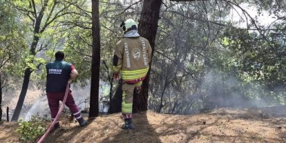 İskenderun’da orman yangını kontrol altına alındı
