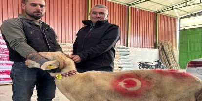 Sarıgöl’de kurbanlık pazarı hareketlendi