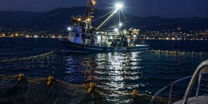 Gemlik Körfezi’nde sardalya avcılığı başladı