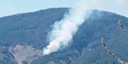 Nazilli’de orman yangını