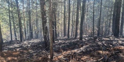 Orman yangını kontrol altına alındı