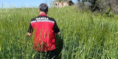 Sarıgöl’de huhubatta verim için ekipler sahada