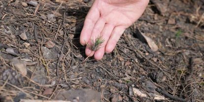 Başkan Işık’tan yeşil Gürsu çağrısı