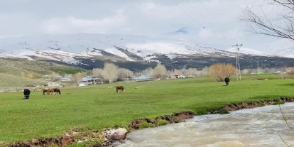 Ağrı’da iki mevsim bir arada