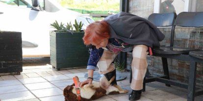 Yalova’da Cevriye teyze can dostu ile duygulandıran buluşma